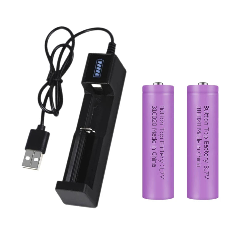 Rechargeable USB battery charger